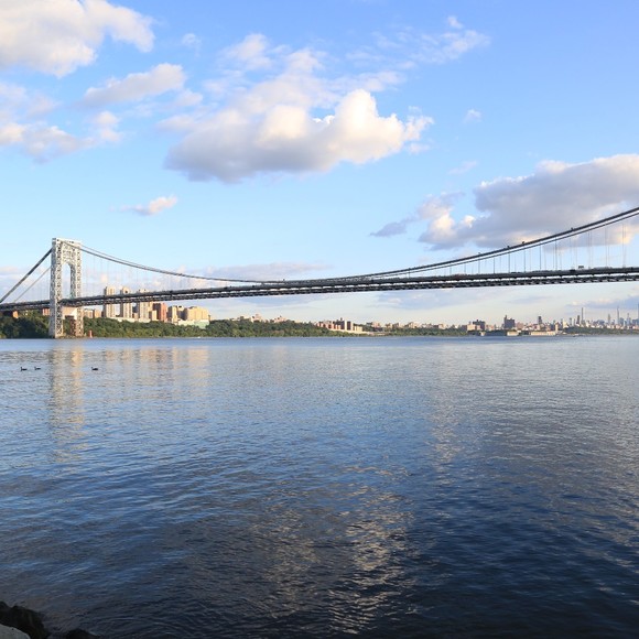 Meet your Posher, Zahra - Picture 1 of 1